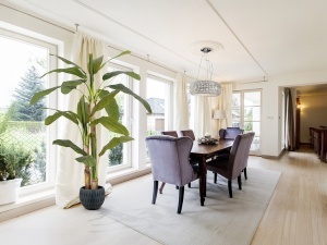 PLANTA ARTIFICIALA, BANANIER 180CM, DIN PVC, SCHULLER