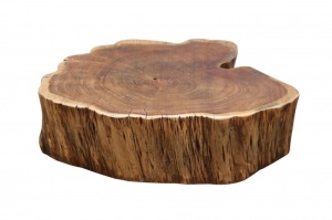 MASUTA DE CAFEA DIN LEMN MASIV DE SALCAM GOA 40139 STIL RUSTIC - Img 2