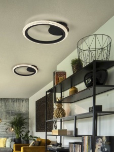 PLAFONIERA RING, 42 CM, NEGRU MAT/TRANSPARENT, DIN METAL, ALUMINIU SI ACRIL, STIL MODERN