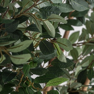 PLATA ORNAMENTALA, FICUS, REF. 37730, CONFECTIONAT DIN POLIETILENA, VICAL , STIL MODERN - Img 2