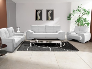 SET MOBILIER CANAPEA 3+ CANAPEA 2 + FOTOLIU DIVERSE NUANTE