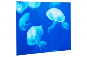 TABLOU DECORATIV MEDUSE 37413 - Img 2