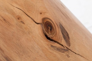 MASUTA DE CAFEA GOA 38608 DIN LEMN MASIV DE SALCAM DESIGN RUSTIC - Img 5