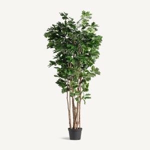 PLATA ORNAMENTALA, ROBLE, REF. 37735, CONFECTIONAT DIN POLIETILENA, VICAL , STIL MODERN