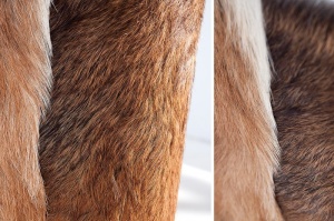 SUPORT PENTRU REVISTE DIN PIELE NATURALA HIDE 37750 DESIGN VINTAGE UNICAT - Img 3