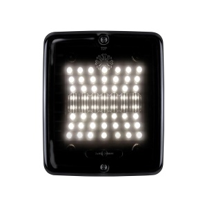 STRANDS IZE LED REVERSE