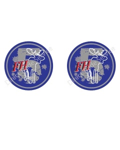 STICKER FH5