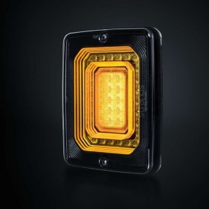 STRANDS FOR9T ILLUSION INDICATOR LIGHT