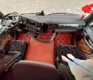 TAPETES SCANIA R NEXT GEN PANTY DROPPER