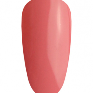 NAILS 144 Rumba