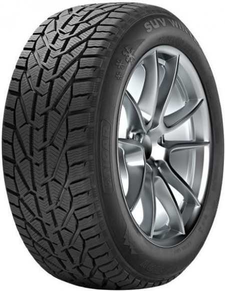 Tigar Winter 205/55 R16 91H