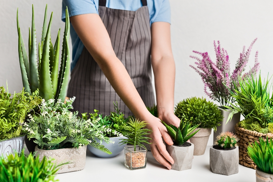 Plante artificiale
