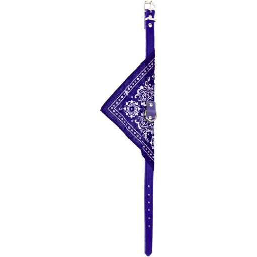 Zgardă cu eșarfă pentru câini, Koopman, 37 cm, culoarea albastru