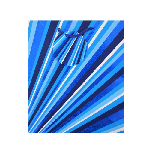 Punga de cadou hartie L STRIPES