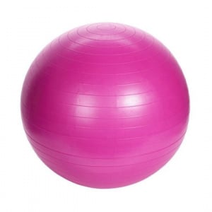 Minge pentru fitness, 55 cm, XQ Max, roz