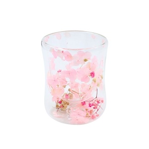Pahar cu inserție de flori uscate, floarea miresei și hortensie, roz și alb, pereți dubli, sticlă borosilicată, 200 ml, Aurora Bloom