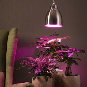 Pendul Neordic Hilla pentru plante, max. 1x40W, bec E27, culoare argintiu mat, 230V, din metal