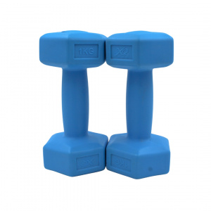 Set 2 gantere albastre XQ Max 2x1 kg