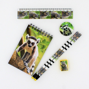 Set 6 rechizite Wild stationery Suricată - Img 2