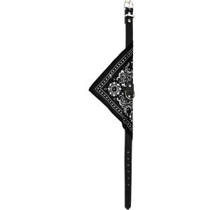Zgardă cu eșarfă pentru câini, Koopman, 37 cm, culoarea negru