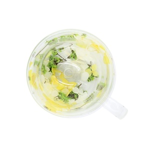 Cană cu inserție de flori uscate alb, galben și verde, hortensie și limonium, pereți dubli, sticlă borosilicată, 200 ml, Aurora Bloom