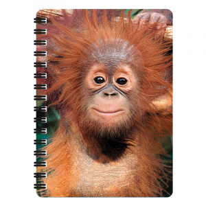 Carnețel zoo cu spirală 3D "LiveLife - Baby orangutan"