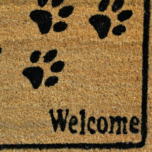 Covor intrare fibră cocos 35x59cm Welcome - Img 2
