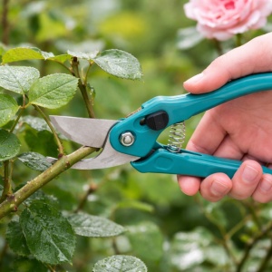 Garden shears with a steel blade and turquoise plastic handle, 18 cm