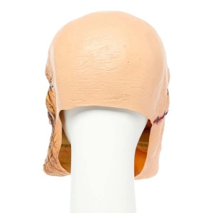 Mască pentru Halloween Amscan cu două fețe, accesoriu costum horror, din latex, One Size, 14+