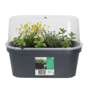 Mini Seră cu Jardinieră din plastic, 59x26x24,25 cm – Ideală pentru Răsaduri și Plante Aromatice