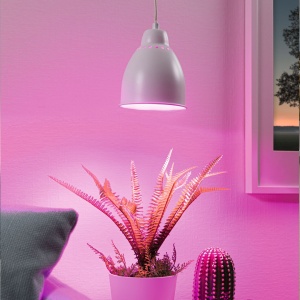 Pendul Neordic Hilla pentru plante, max. 1x40W, bec E27, culoare alb, 230V, din metal