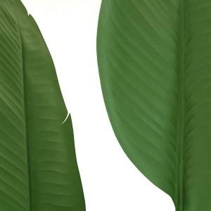 Plantă artificială Strelitzia 160 cm - Pasărea Paradisului - cu 10 frunze verzi cu detalii realiste, pentru interior, în ghiveci negru