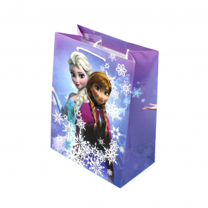 Punga cadou HM M kraft Frozen