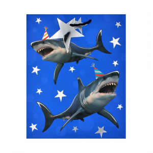 Punga Clairefontaine M SDE Shark - Img 1