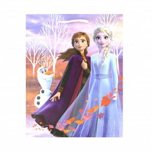 Punga hartie SDE mare Frozen 2 - Img 2