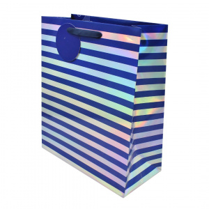 Punga SDE M BLUE SILVER RAINBOW