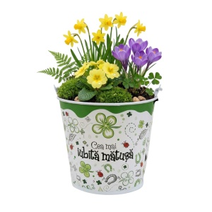 Suport ghiveci 13.5 cm "Cea mai iubită mătușă"