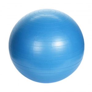 Minge pentru fitness, 55 cm, XQ Max, albastru