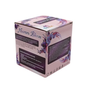 Pahar cu inserție de flori uscate, hortensii și floarea miresei, alb si galben, pereți dubli, sticlă borosilicată, 250 ml, Aurora Bloom
