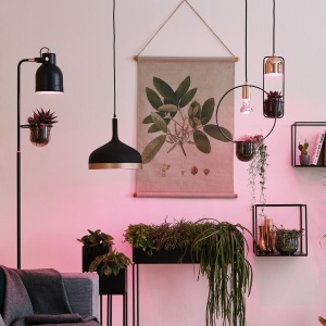 Pendul Neordic Tasja cu fir textil, pentru plante, max 1x20W bec E27, culoare negru/cupru 230V metal și sticlă