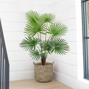 Plantă artificială Palmier 160 cm, bogată în frunze verzi cu detalii realiste, tulpini cu inserții de material natural, ghiveci negru inclus
