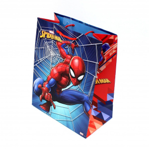 Punga cadou copii SDE M Spiderman - Img 1