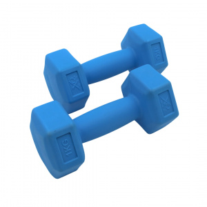 Set 2 gantere albastre XQ Max 2x1 kg