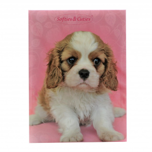 Album foto Cute Pets 100 poze catel - Img 6