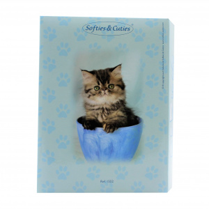 Album foto Cute Pets 100 poze pisicuta