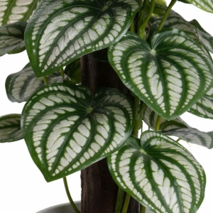 Plantă artificială Peperomia 25 cm, frunze verzi cu nervuri albe, detalii realiste, în ghiveci alb