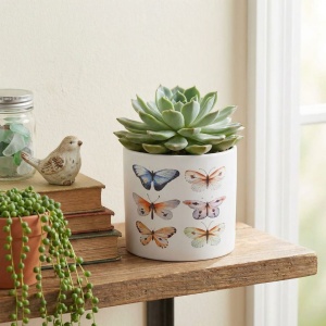 Ghiveci decorativ ceramic, alb cu ilustrații cu fluturi, pentru plante și flori, design modern 13.5x12.5 cm
