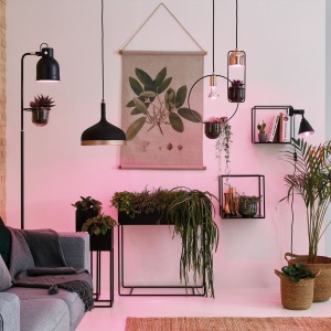Lampadar Neordic Elric pentru plante, max 1x20W, bec E27, culoare negru/cupru 230V din metal și sticlă