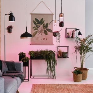 Pendul Neordic Fanja pentru plante, max 1x20W bec GU10, culoare negru/cupru 230V din metal și sticlă