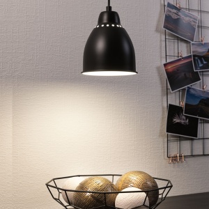 Pendul Neordic Hilla pentru plante, max. 1x40W, bec E27, culoare negru, 230V, din metal